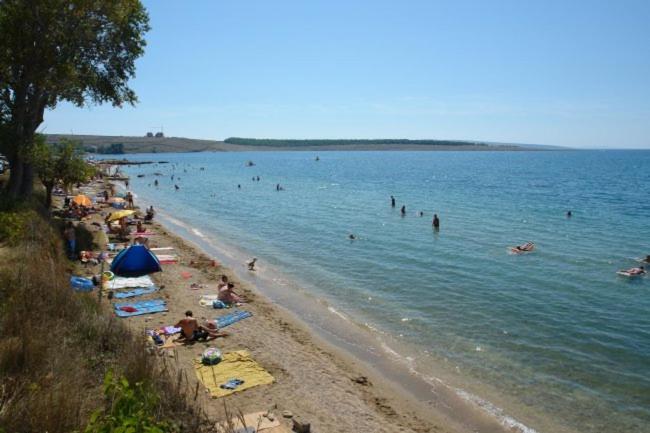 Apartments Mint Povljana - 50M From Sandy Beach Exterior foto